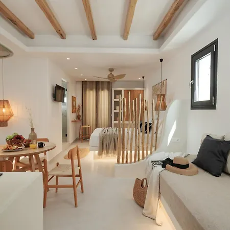 Due Venti Downtown Naxos Junior 公寓 Naxos City